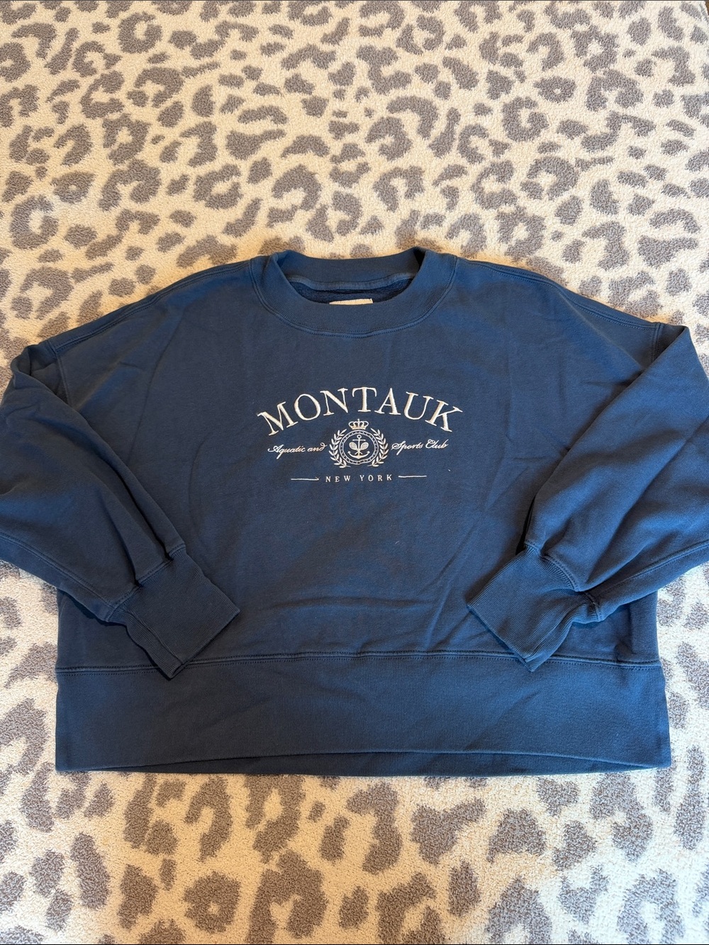 Abercrombie & Fitch Blue Crewneck Sweatshirt